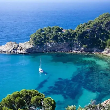 Appartamento Nuevo, Espacioso Y Confortable Con Pkg Y Piscina *